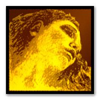 (image for) Pirastro Evah Pirazzi GOLD Viola Strings SET