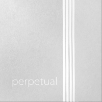 (image for) Perpetual