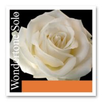 (image for) Wondertone Solo
