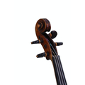 ca. 150 years old Hopf Violin