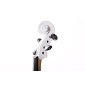 ANDANTINO violine eléctrico