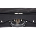 RIBONI Double Violin case 286