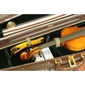 Estuche de viola Musafia Luxury Classic - Diseñador