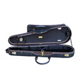 Musafia Lievissima Evolution shaped Violin case Design Order