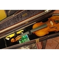 Musafia Lievissima Evolution shaped Violin case Design Order