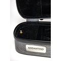 ANDANTINO shaped case Carbon 70