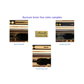 Musafia Master Series Dart Violin case Design Order
