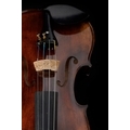 Bohemia Violin