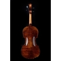 Bohemia Violin