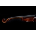 Bohemia Violin