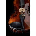 Bohemia Violin
