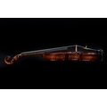 Bohemia Violin